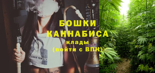spice Лиски