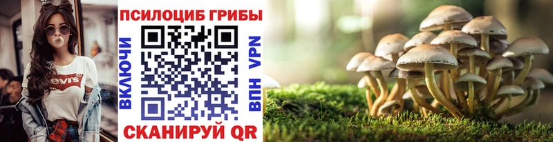 Псилоцибиновые грибы мухоморы  Купить  Валдай 