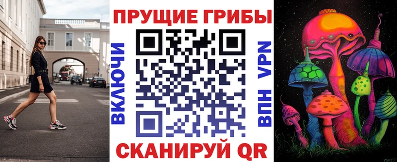 Псилоцибиновые грибы Psilocybe Валдай